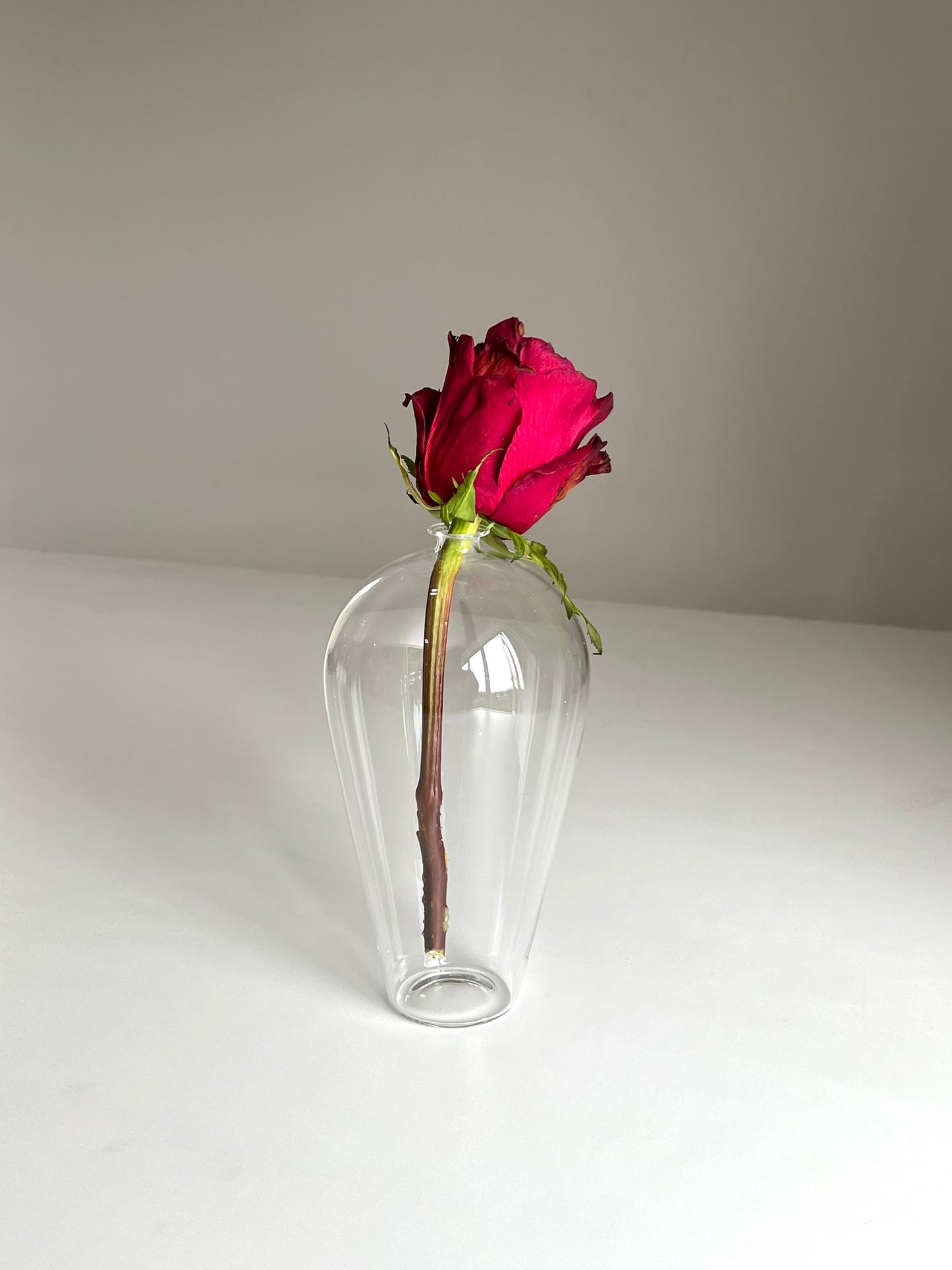 Glass Vase (2pcs)