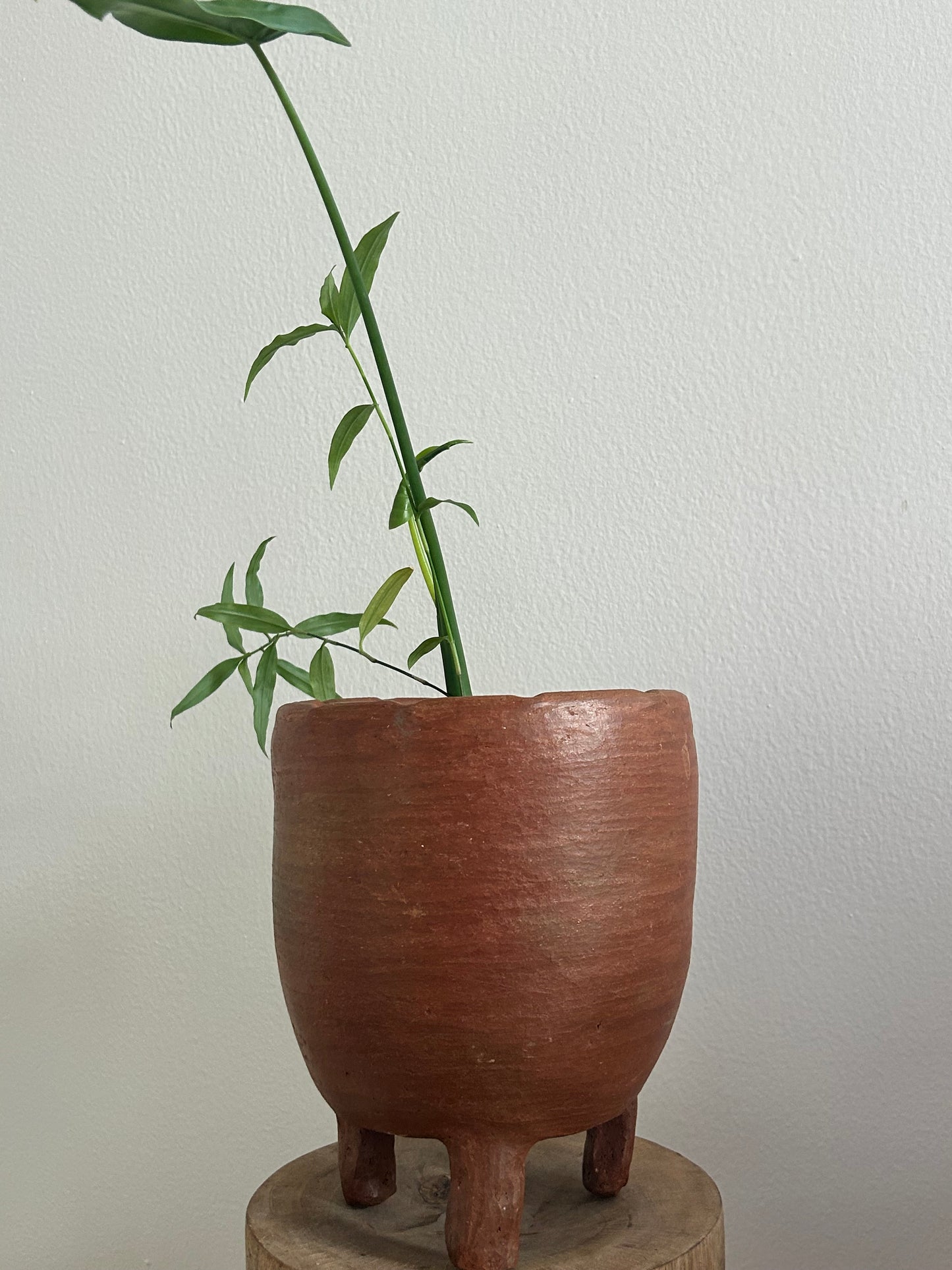Keeve Planter