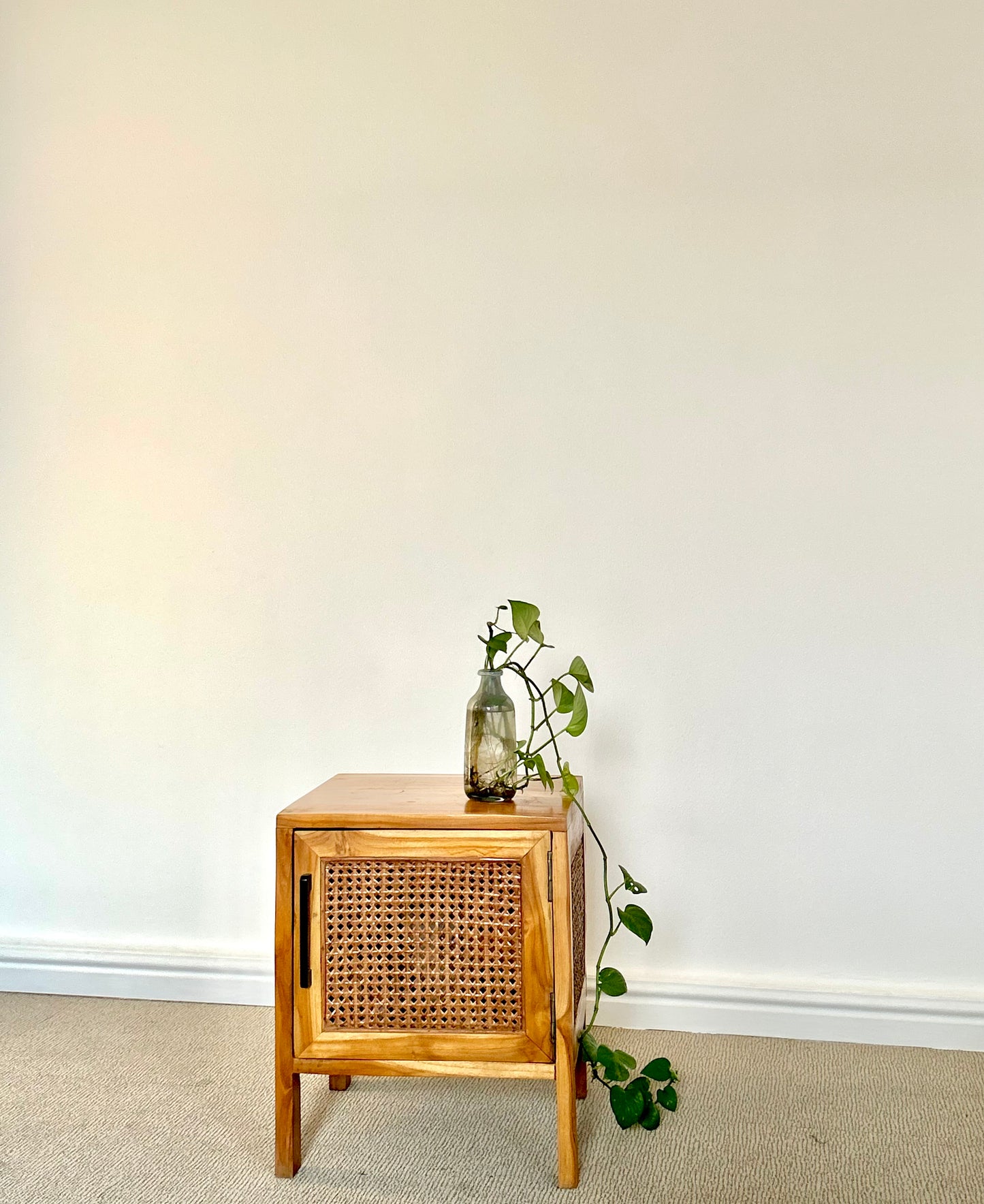 Rattan Storage
