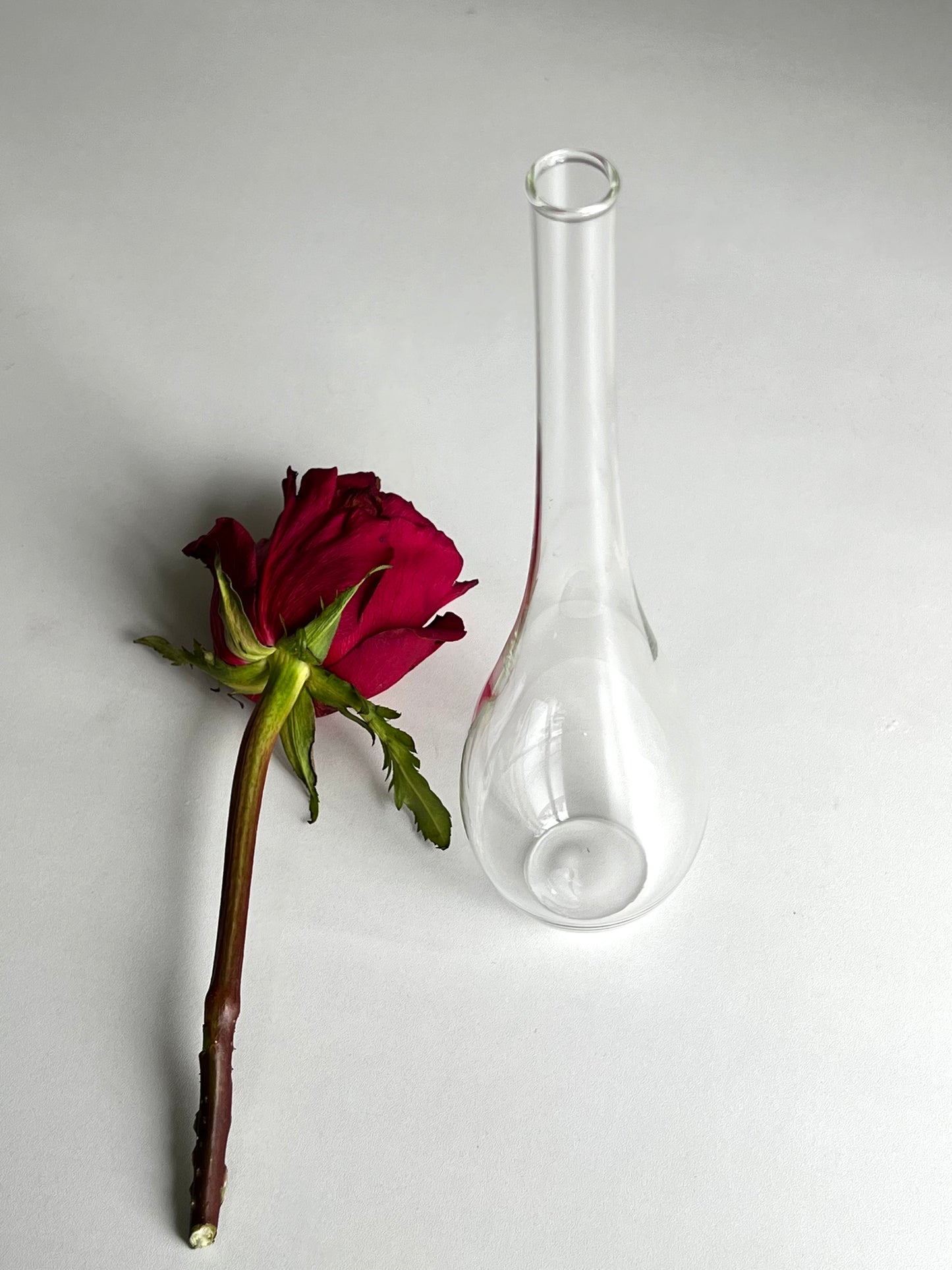 Glass Vase (2pcs)