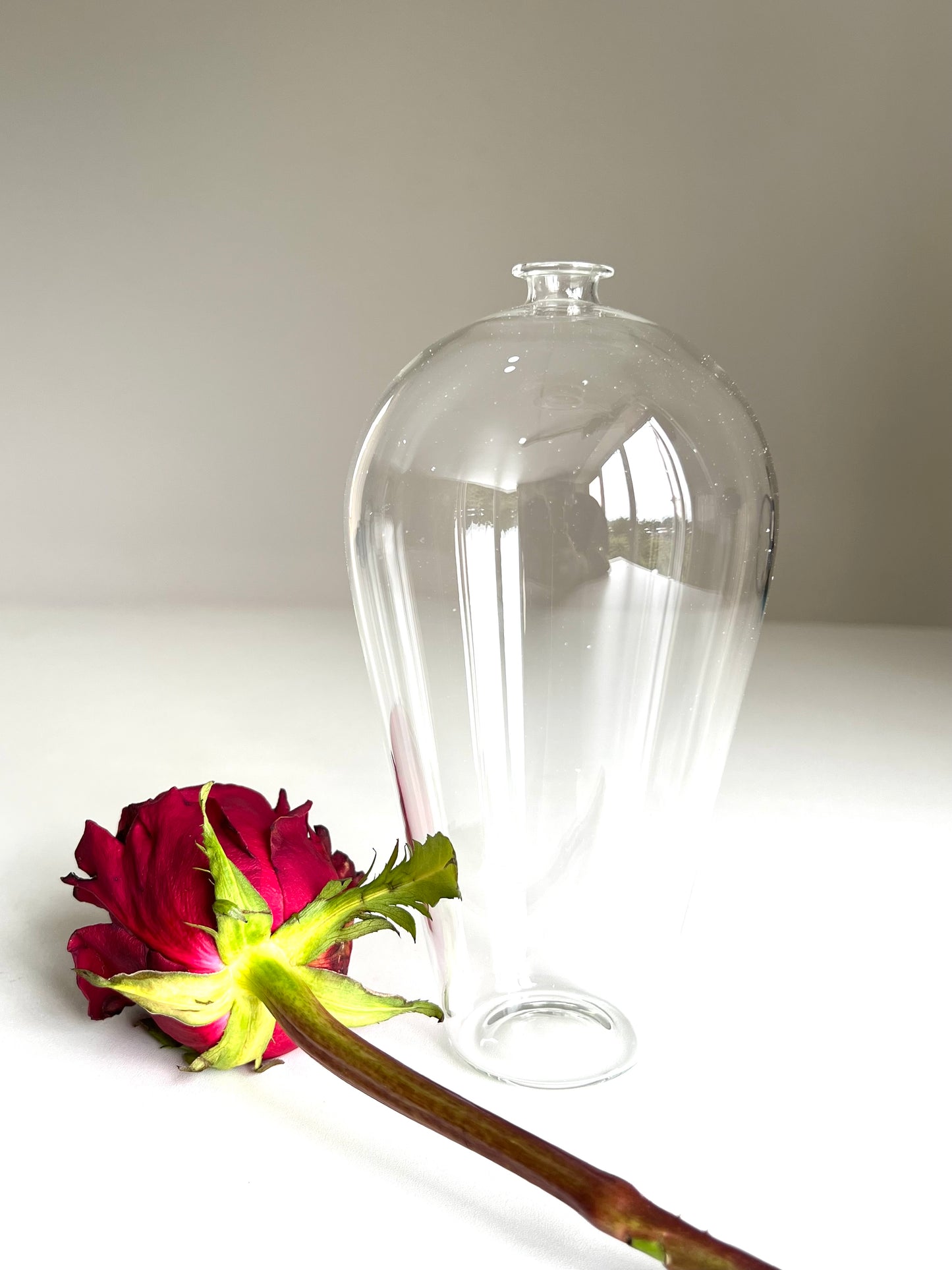 Glass Vase (2pcs)