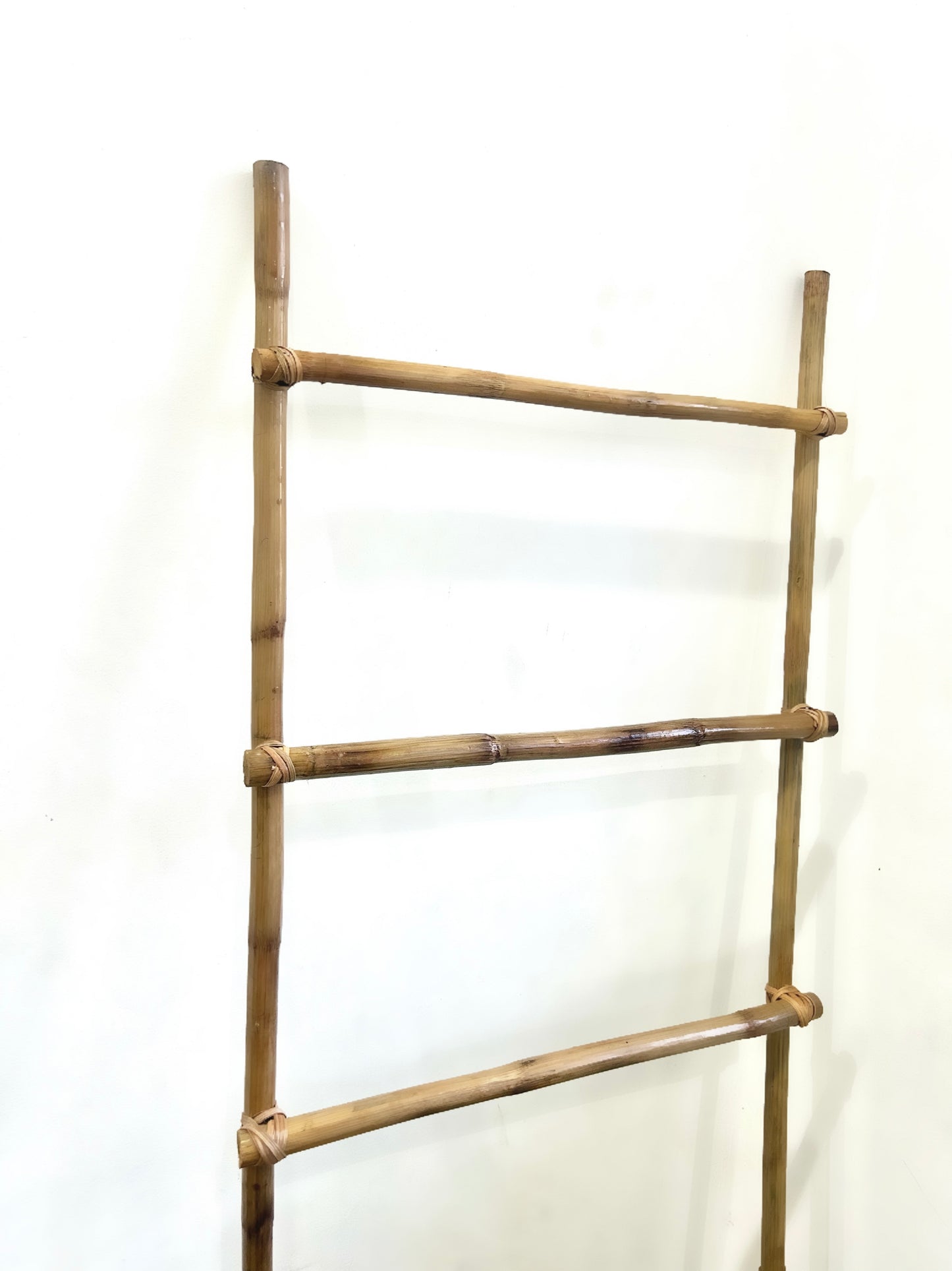 Cane Ladder