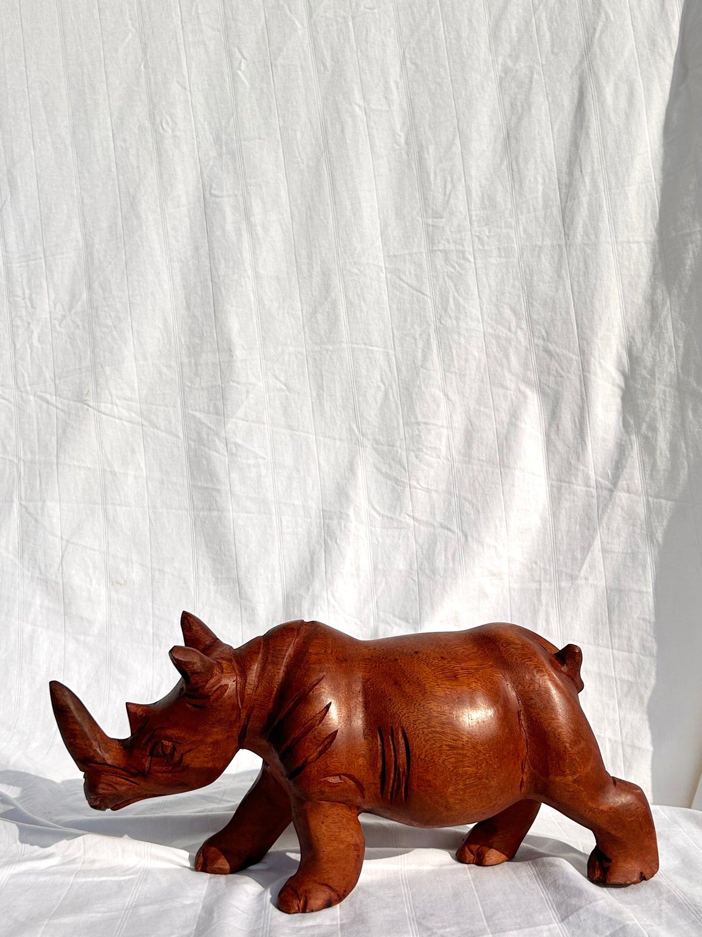 Rhyno Carving