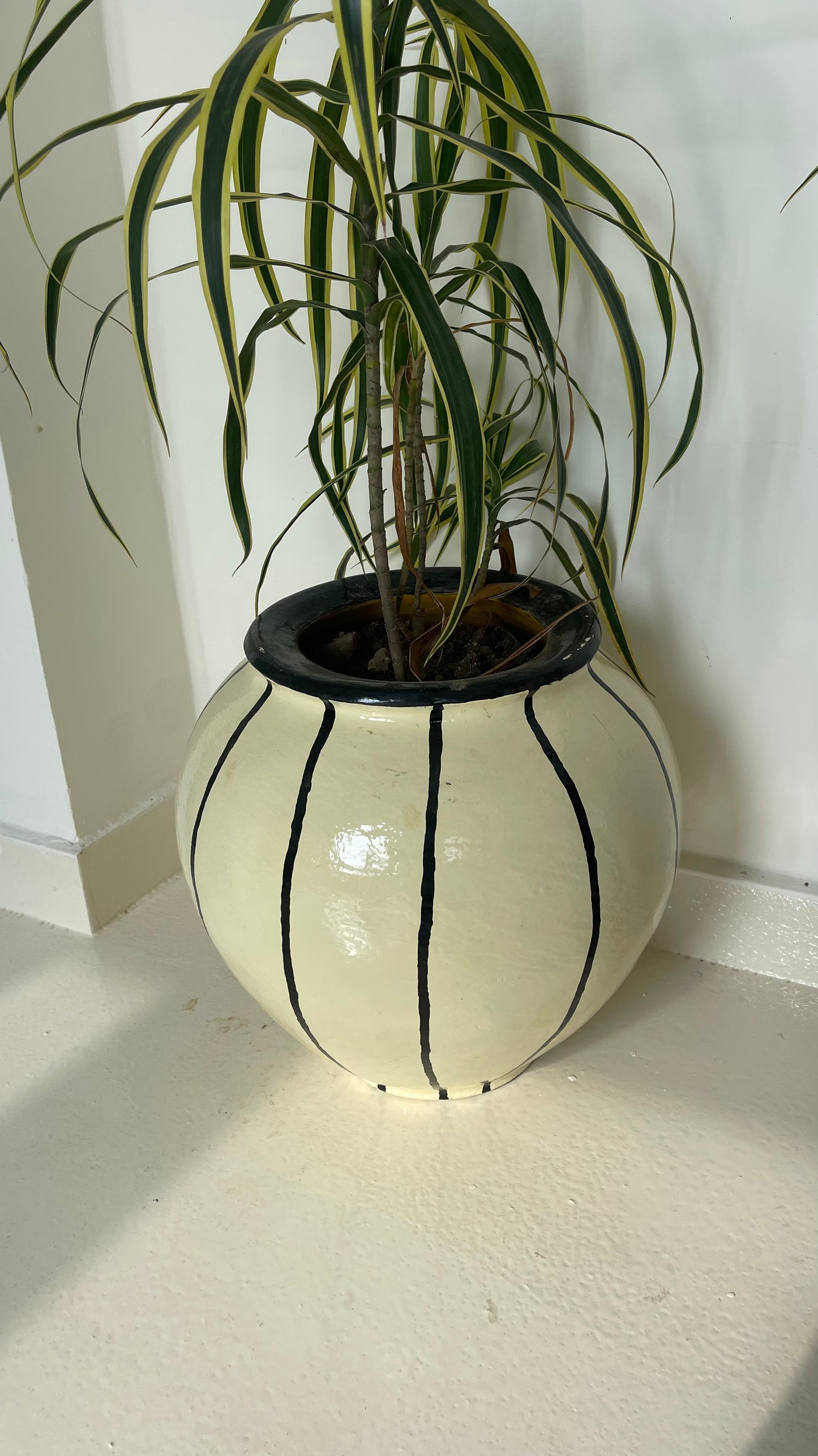 Coconut Cream Vase