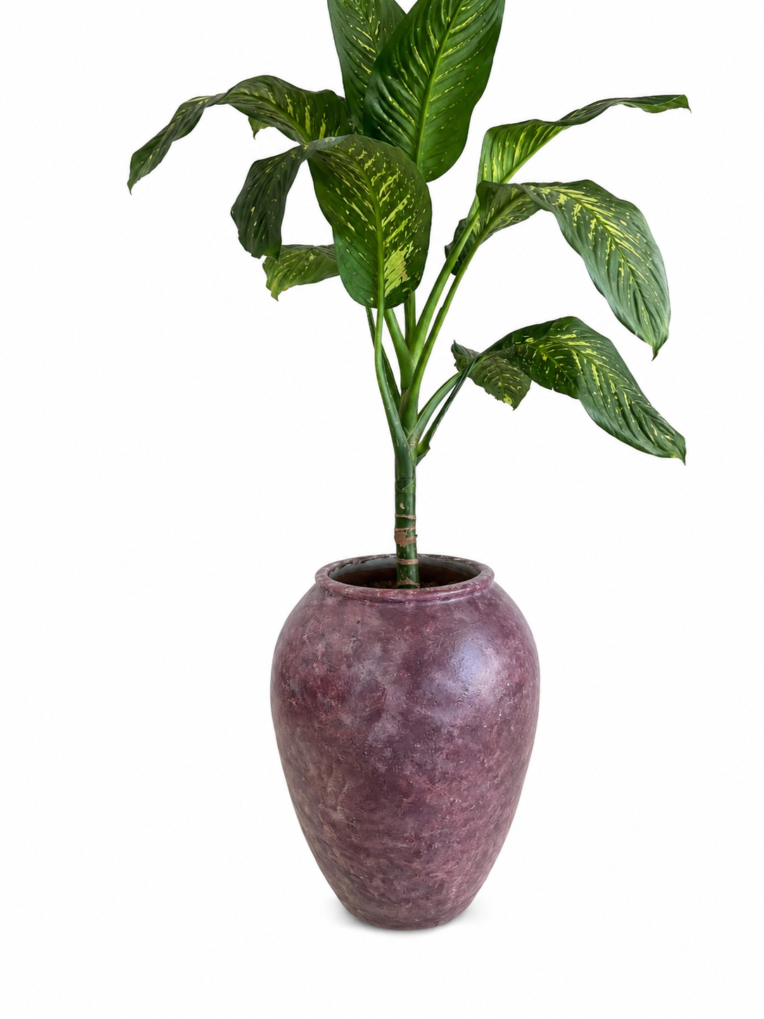 Large Mauve Vase