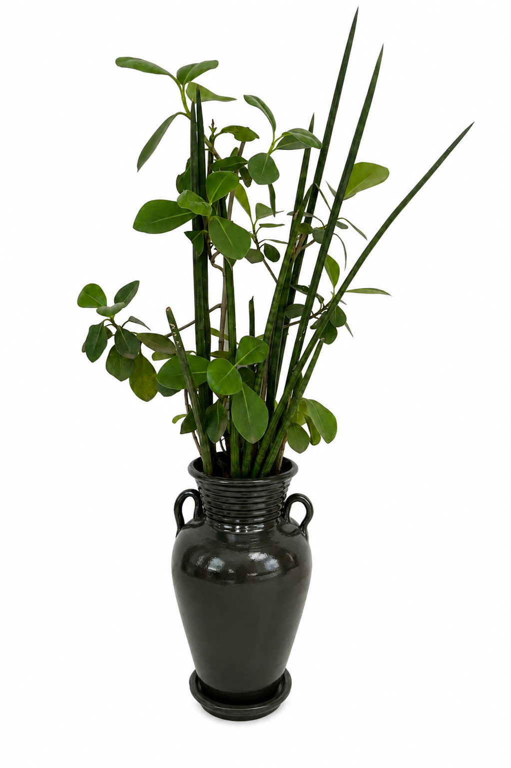 Arden Vase