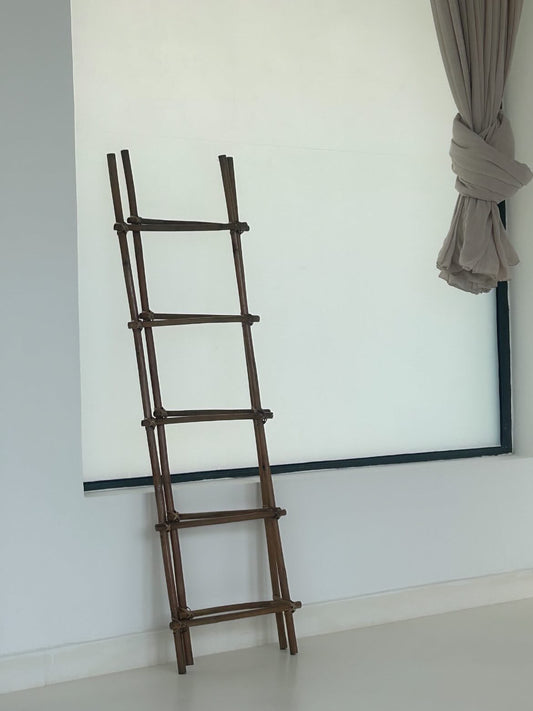 Cane Ladder