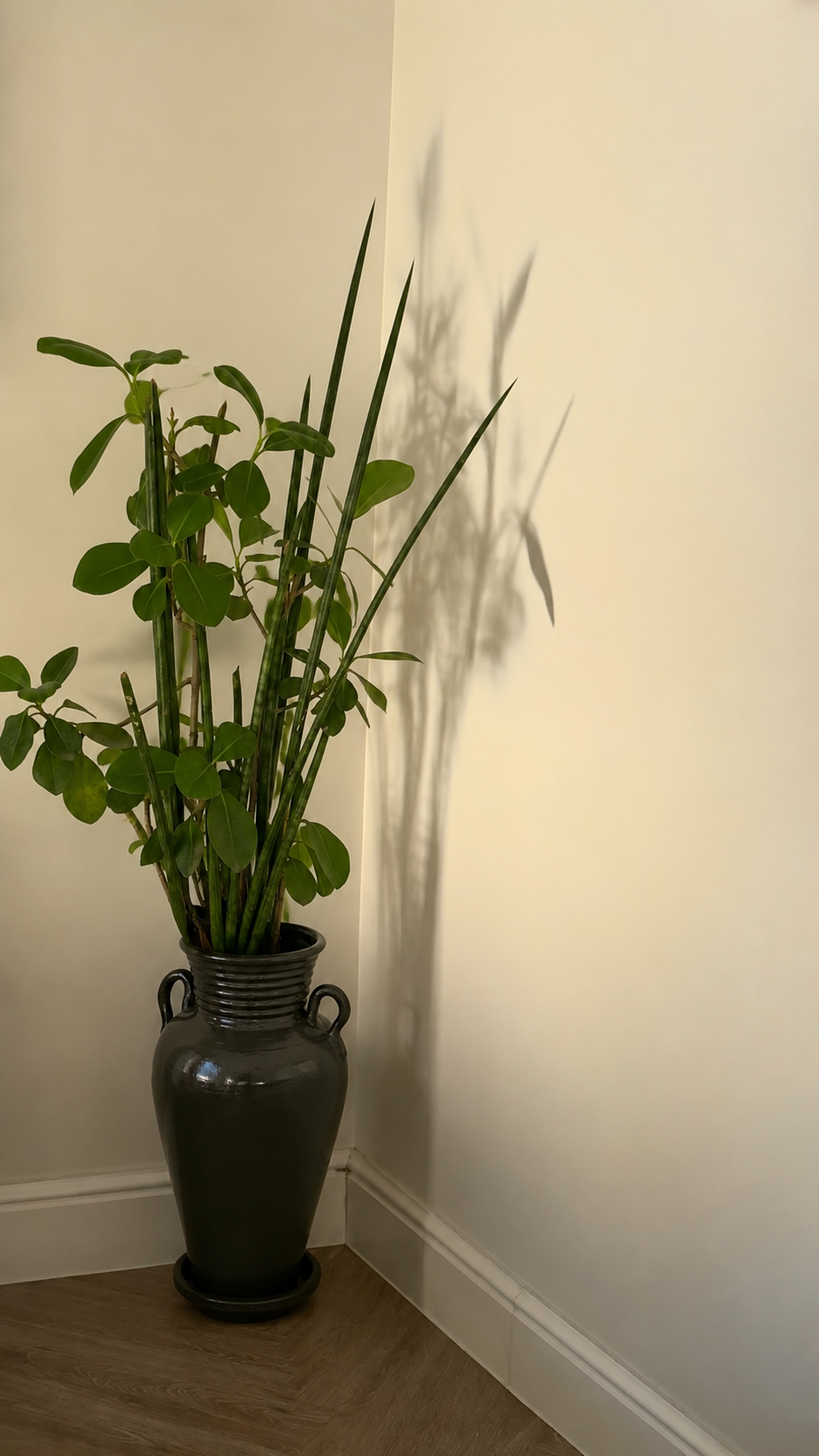 Arden Vase