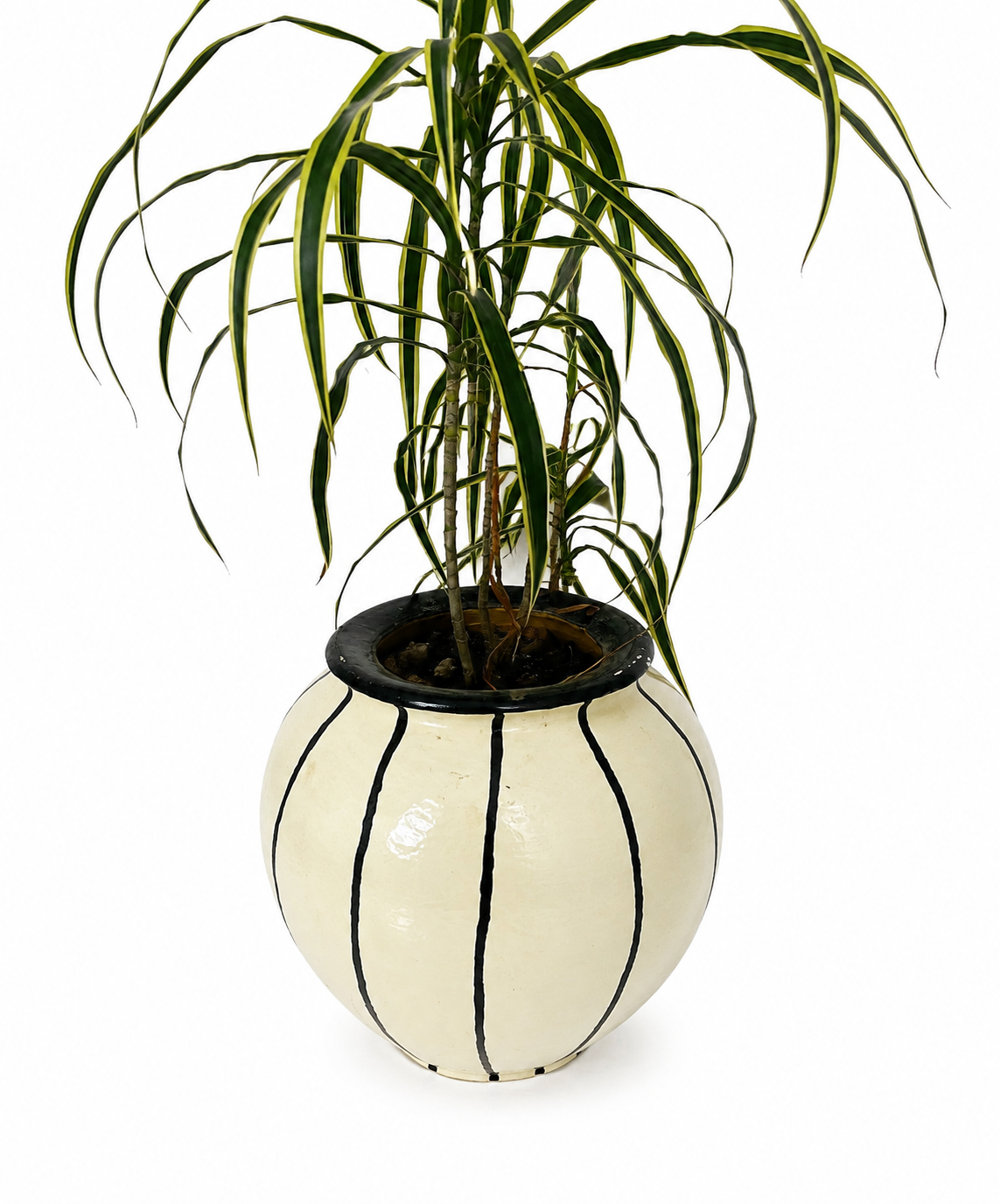 Coconut Cream Vase