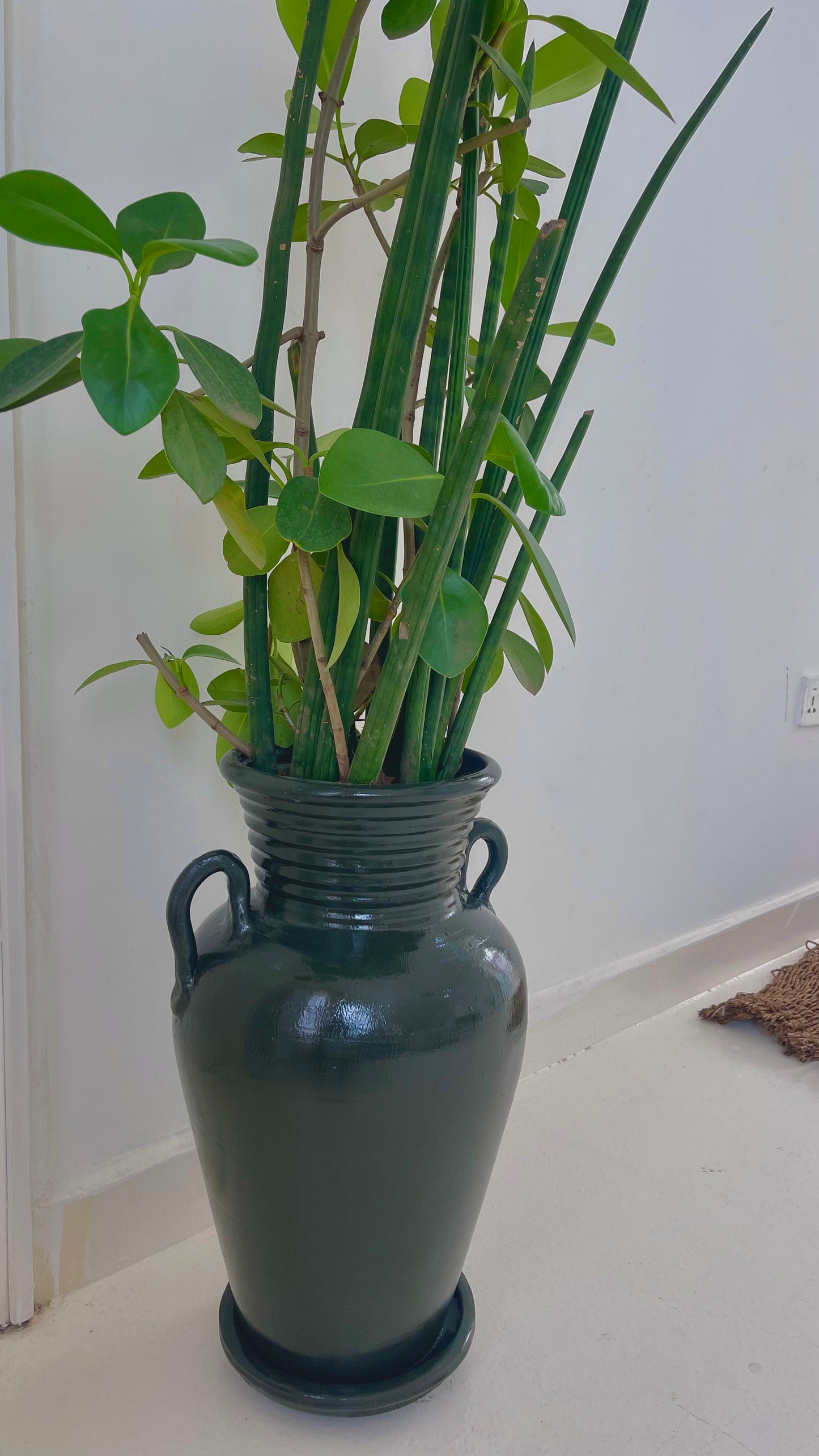 Arden Vase