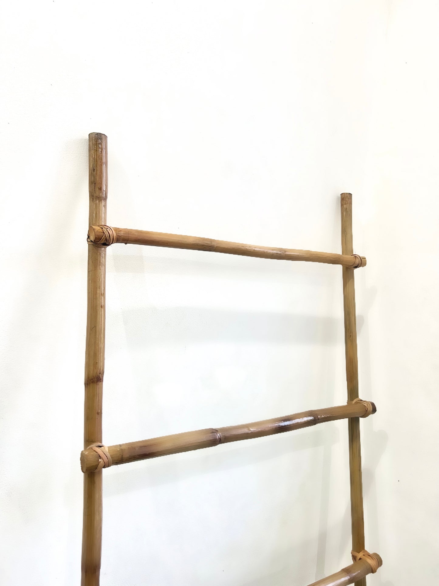 Cane Ladder