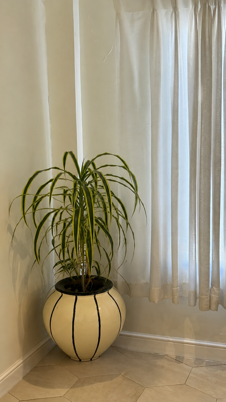 Coconut Cream Vase